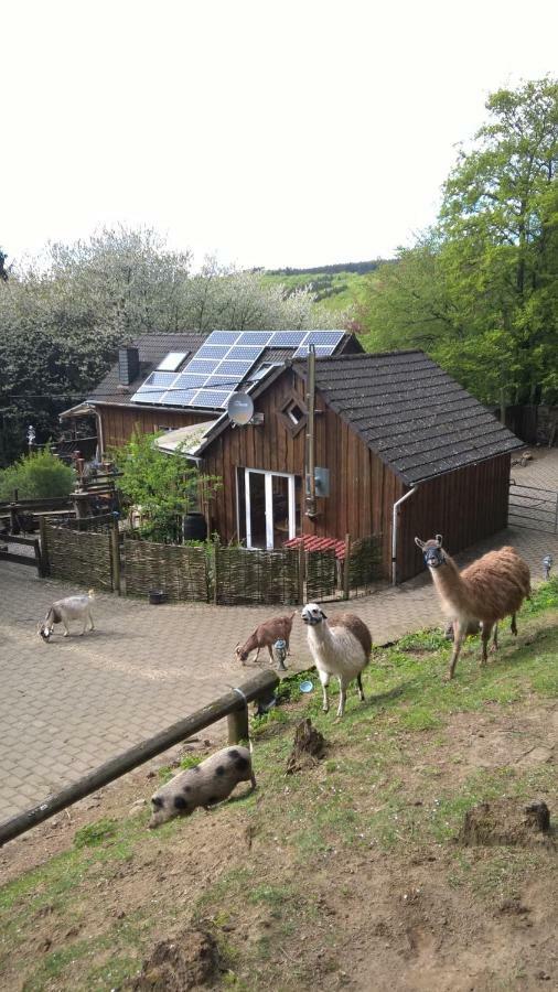 Funny-Farm Villa Sassen Exterior photo